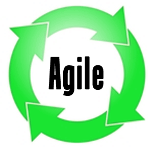 Portfoliomanagement und agile Programmierung