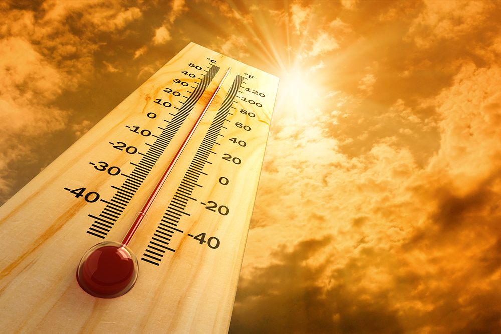 Schlagen Sie die Hitze im Haus: Eine sommerliche Leseliste für Produktentwicklungsprofis