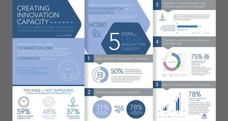 Creating Innovation Capacity