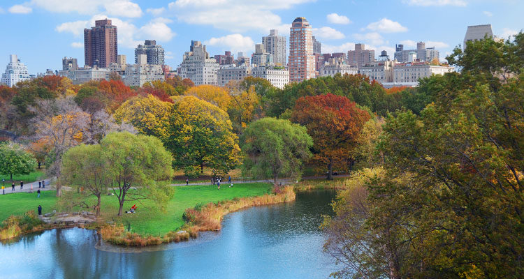 Verbreiten Sie die Nachricht... Ein Interview mit Planview Executive Residence über den CINO-Gipfel in NYC