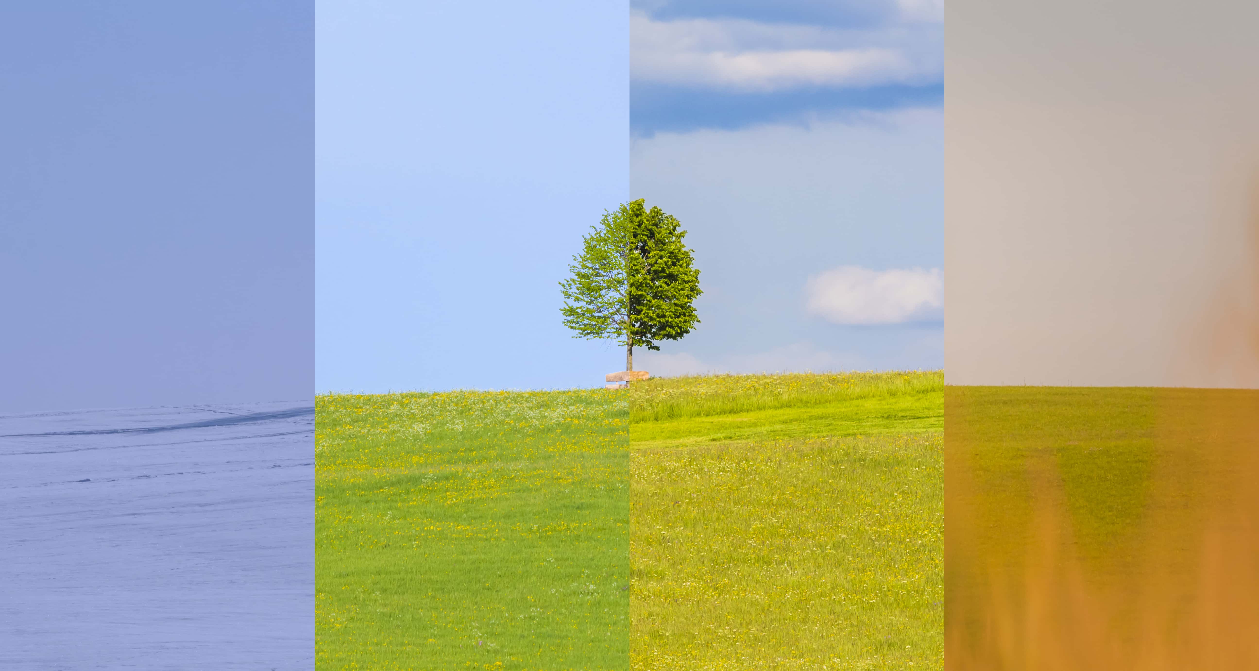 Die Landschaft der Unternehmensarchitektur im Wandel