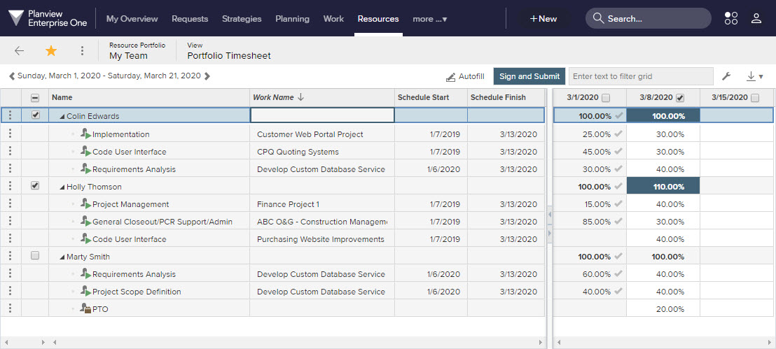 Portfolio-Timesheets für die Zeiterfassung auf Manager-Ebene