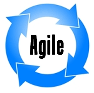 Programmation agile et gestion de portefeuille