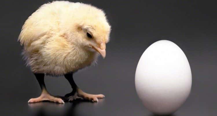 Processus ou solution ? Le dilemme de l'œuf ou de la poule des temps modernes