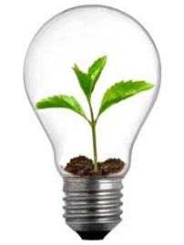 Vems uppgift är innovation?