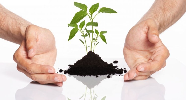 For Professional Services: 2014 Will Focus on Talent Management