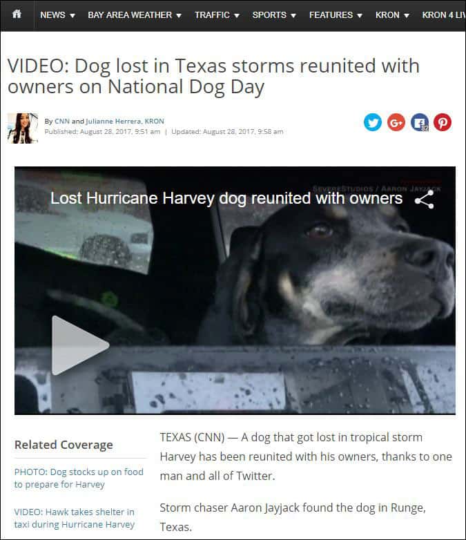 VIDEO: Hund som försvann i stormarna i Texas återförenas med sina ägare på den nationella hunddagen