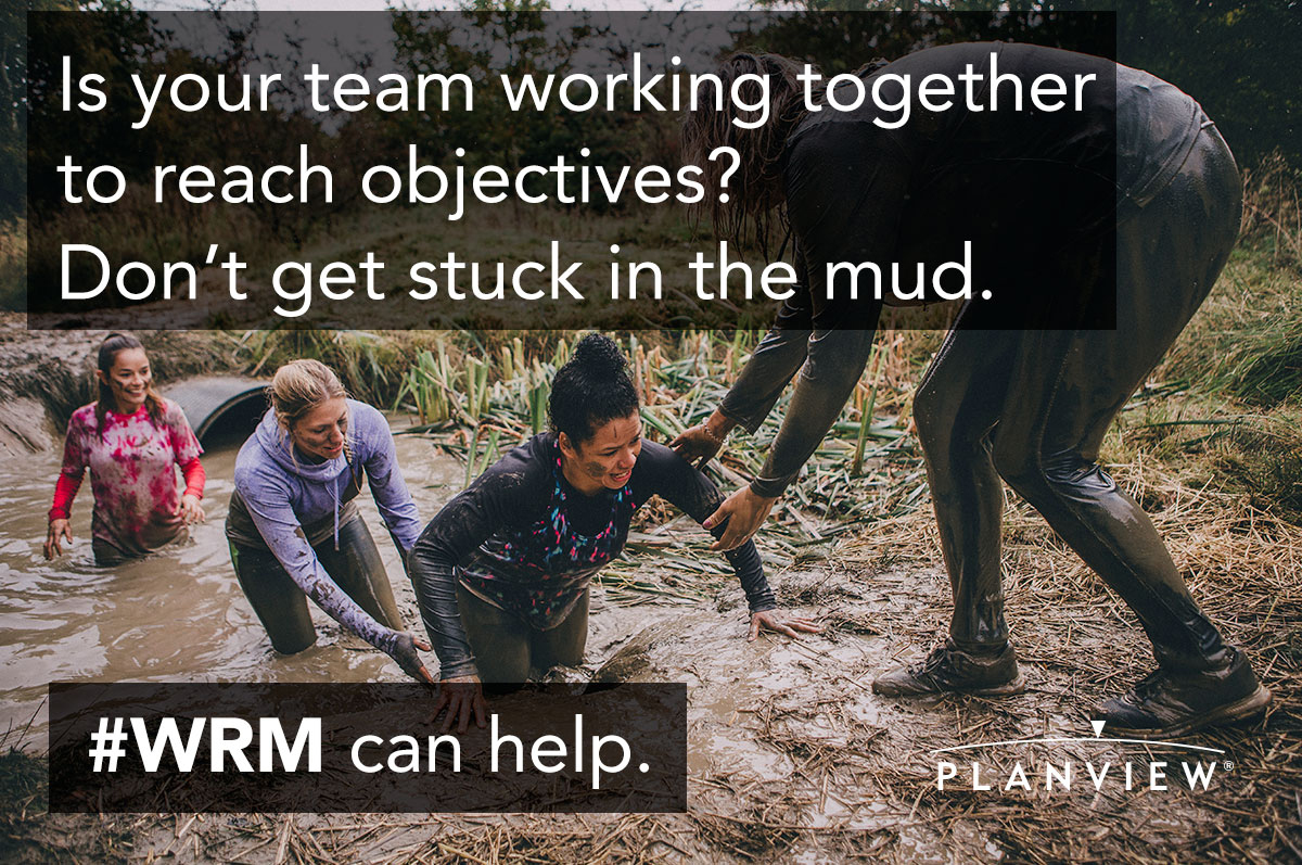 Is your team working together to reach objectives?
