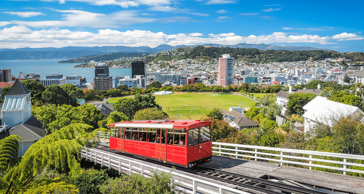 A Real-World Success Story: New Zealand Government Improves Project Delivery