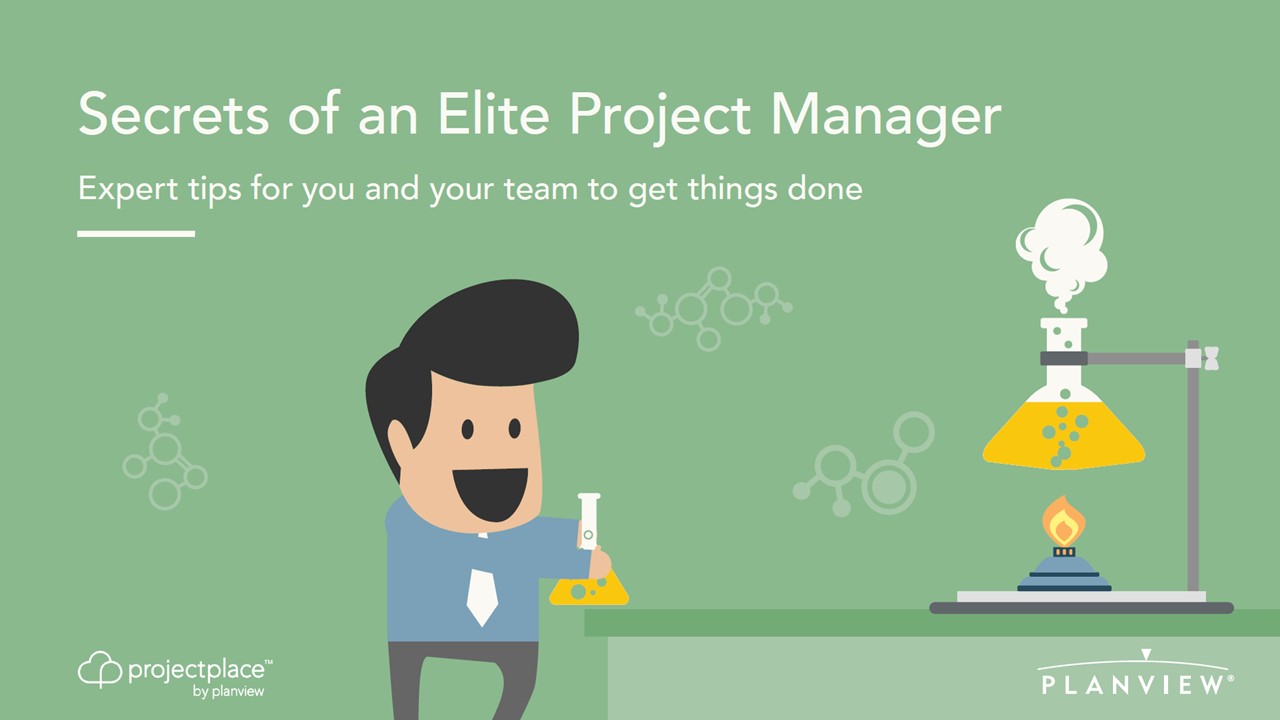 Secrets of an Elite Project Manager
