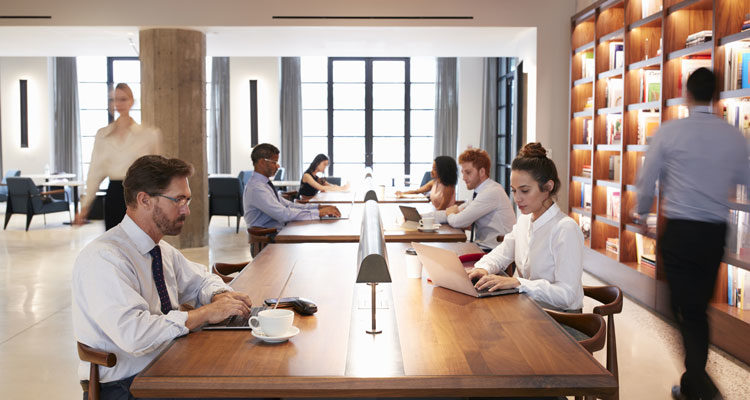 An Executive’s Guide to Driving Innovation